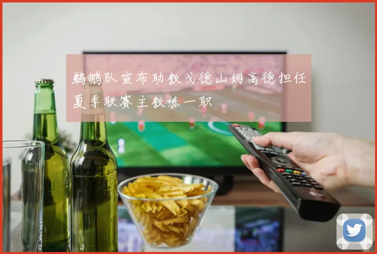 鹈鹕队宣布助教戈德山姆高德担任夏季联赛主教练一职