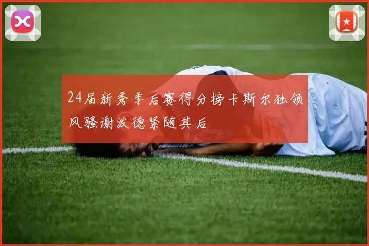 24届新秀季后赛得分榜卡斯尔独领风骚谢泼德紧随其后