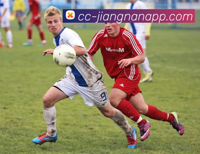 APP界面展示